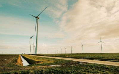 5 Surprising Facts about Green Energy in the Netherlands