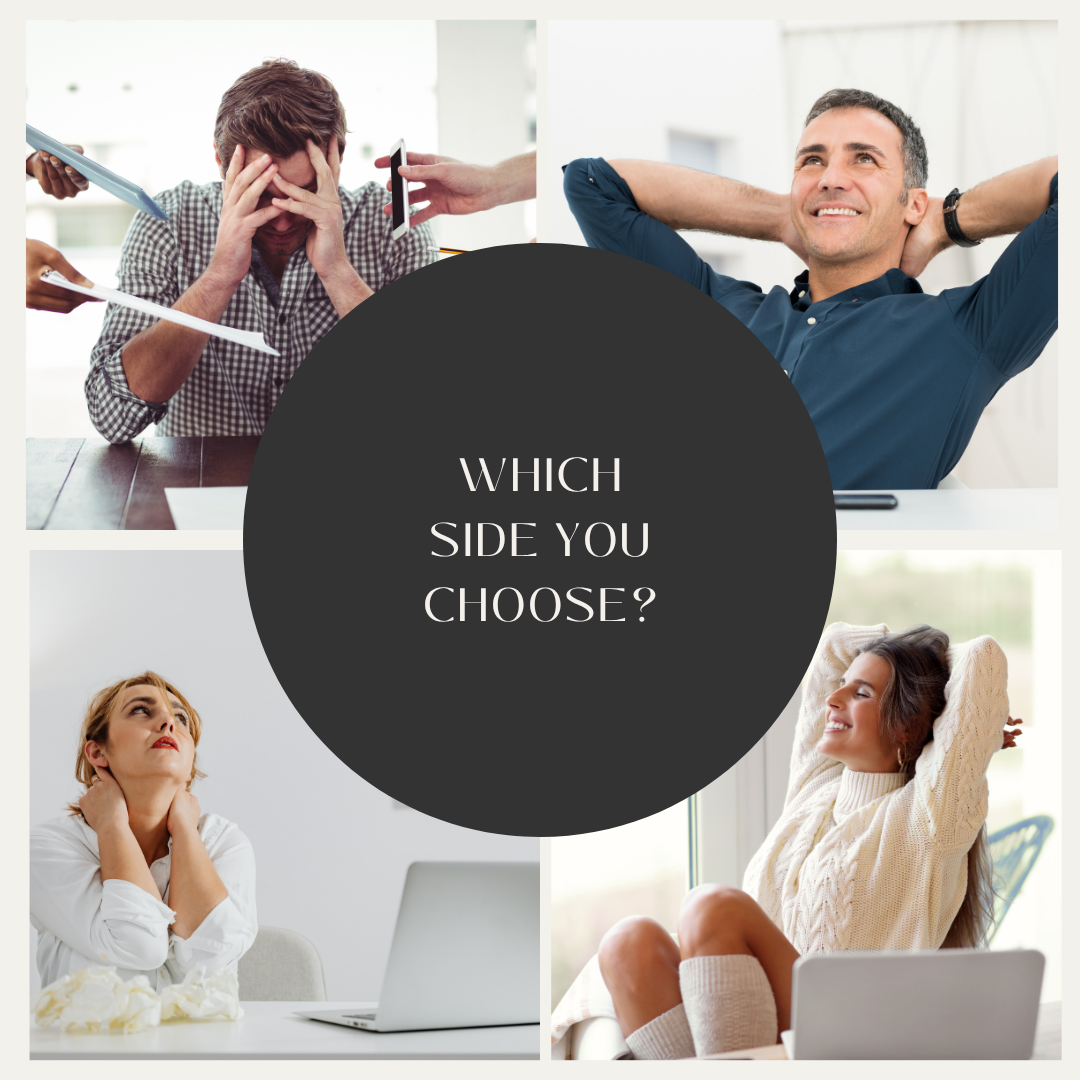 What your first month in The Netherlands really looks like!